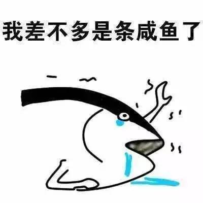 咸鱼女配在年代文吃瓜免费阅读,免费阅读解锁幸福人生