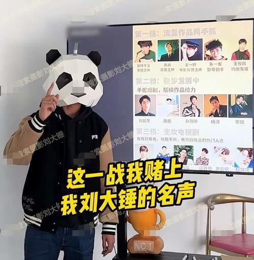 刘大锤爆料大全视频播放,揭秘热门视频背后的精彩故事